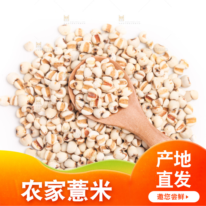 白底上摆放着薏米