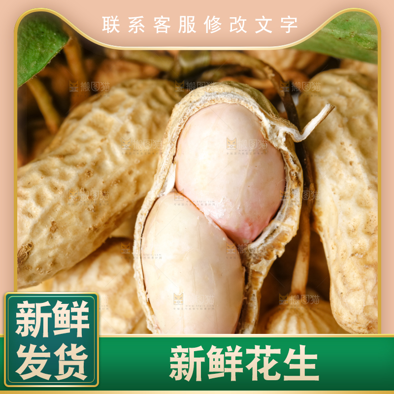 白底上的新鲜花生