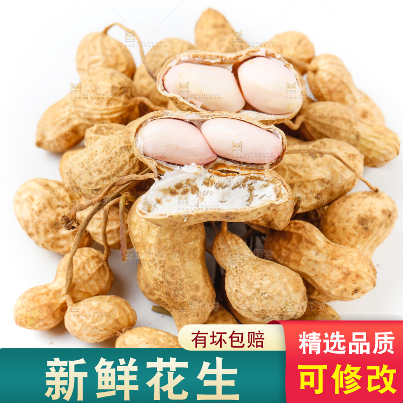 白底上放着一堆新鲜花生