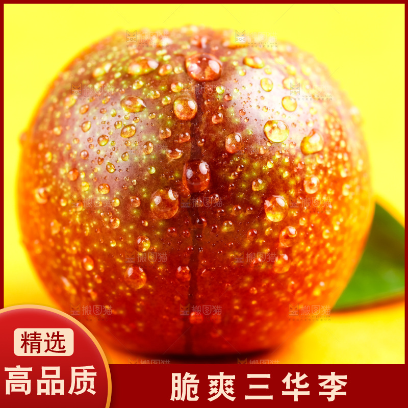 浅底上放着钱排三华李
