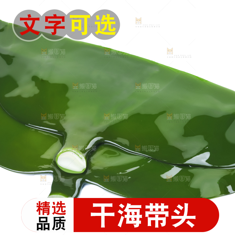 白底上摆放着海带头