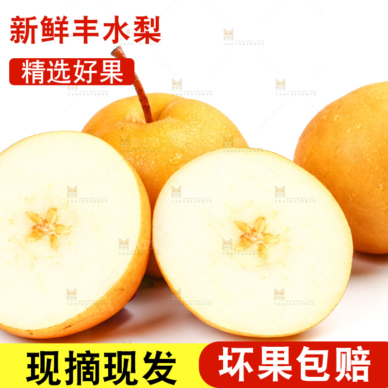 白底上摆放着河北丰水梨