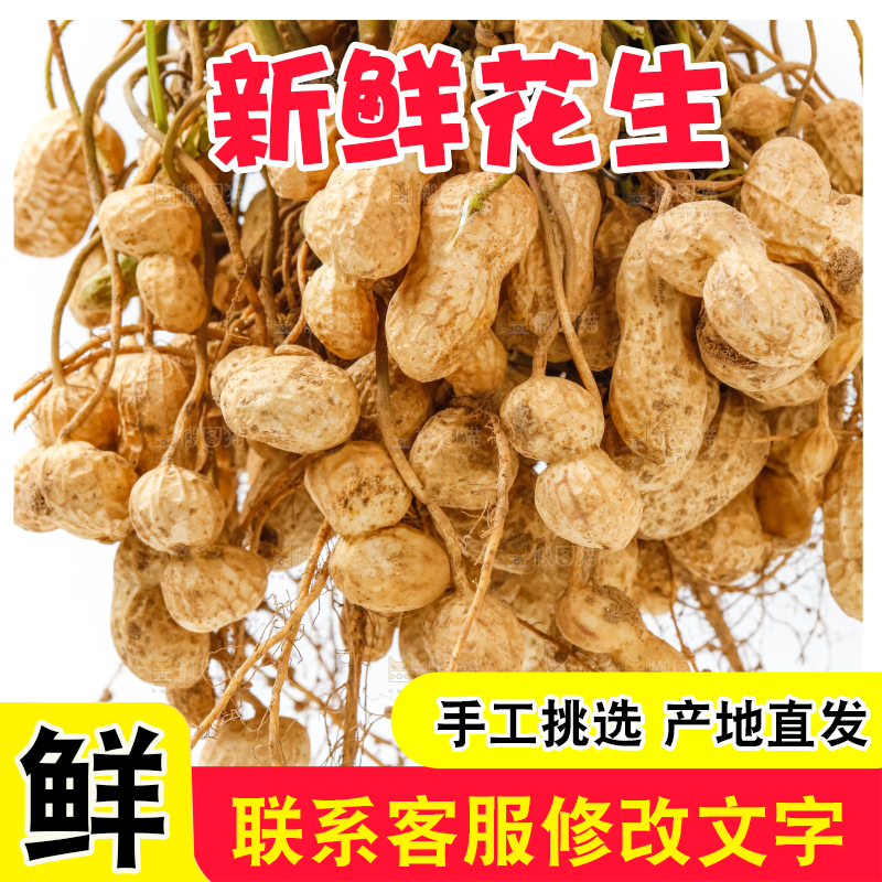 白底上的新鲜花生