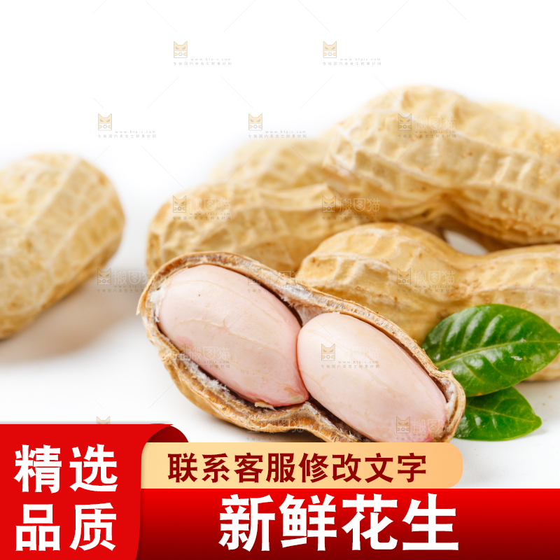白底上的新鲜带壳花生