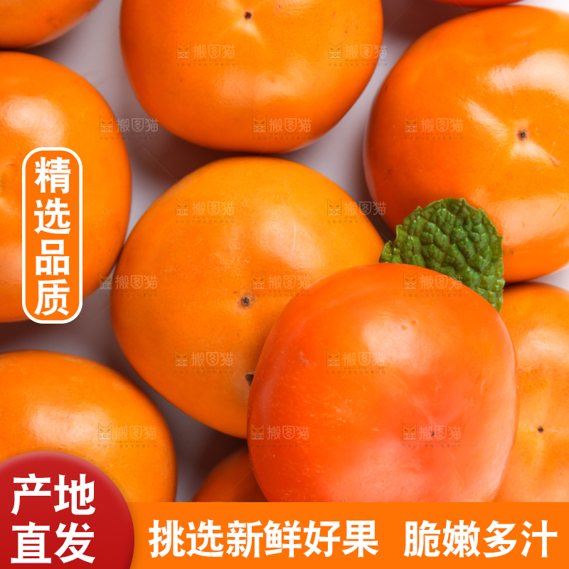 白底上的脆柿