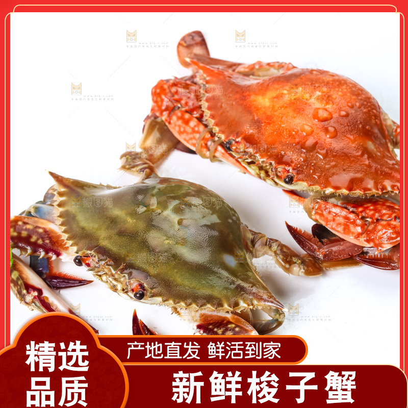 白底上摆放着海蟹