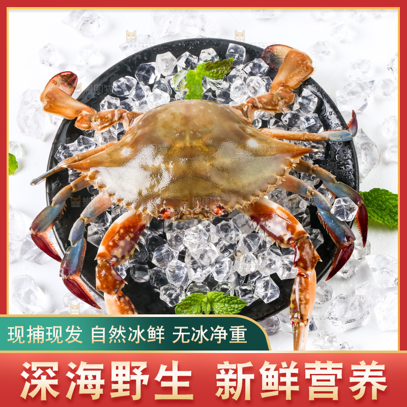 白底上放着海螃蟹
