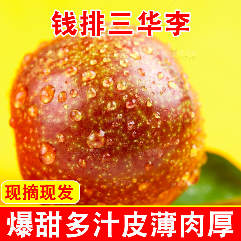 浅底上放着钱排三华李