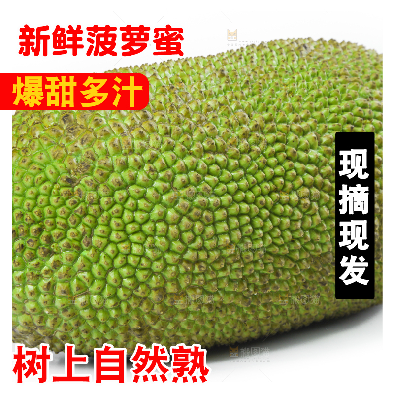 白底上放着一个完整的菠萝蜜
