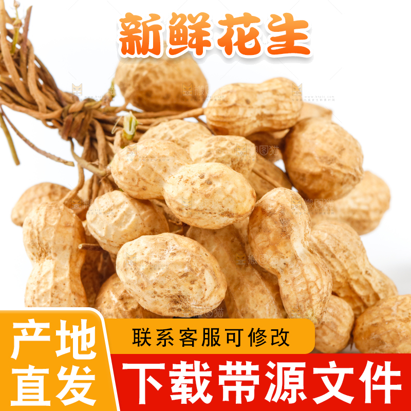 白底上放着一堆新鲜花生