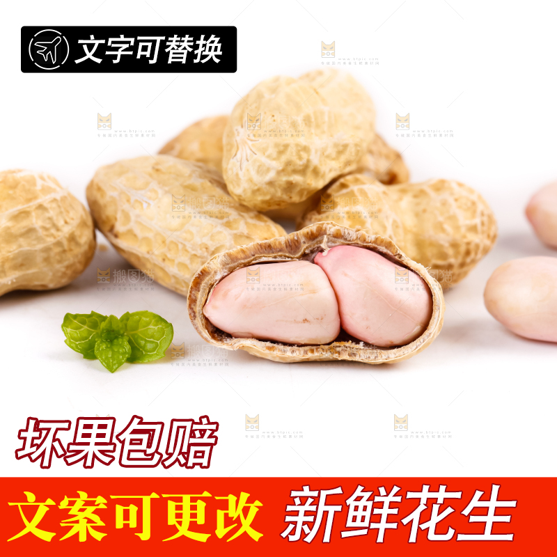 白底上的湿花生