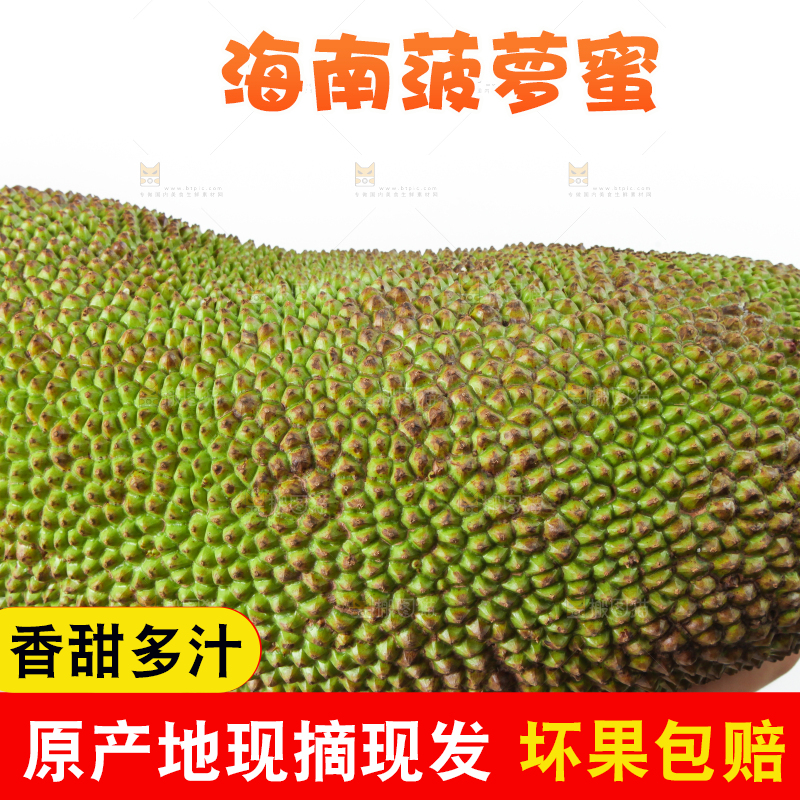 白底上放着一个完整的菠萝蜜