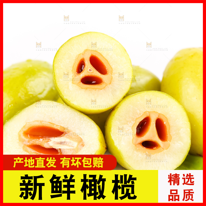 白底上的橄榄果