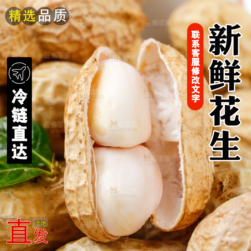 白底上盘子里的生花生