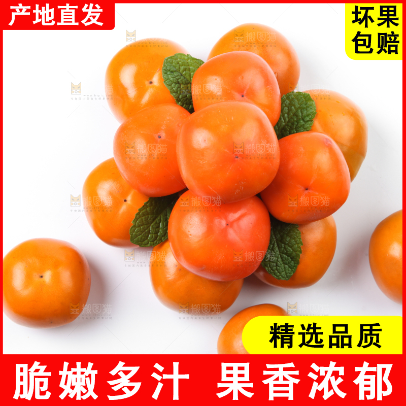 白底上的脆柿