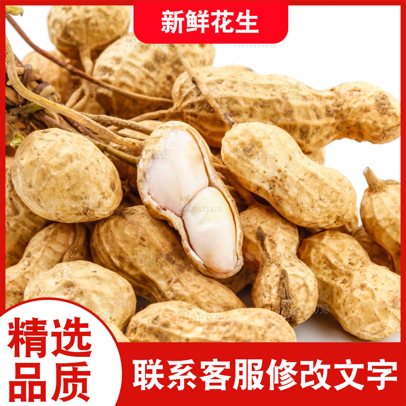 白底上放着一堆鲜花生