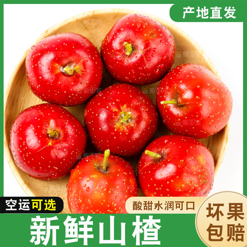 白底上盘子里的沂蒙山楂果