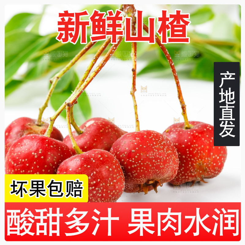白底上的山楂