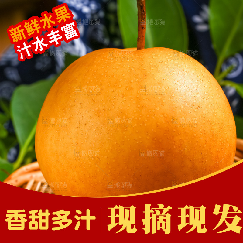 篮子上放着河北丰水梨