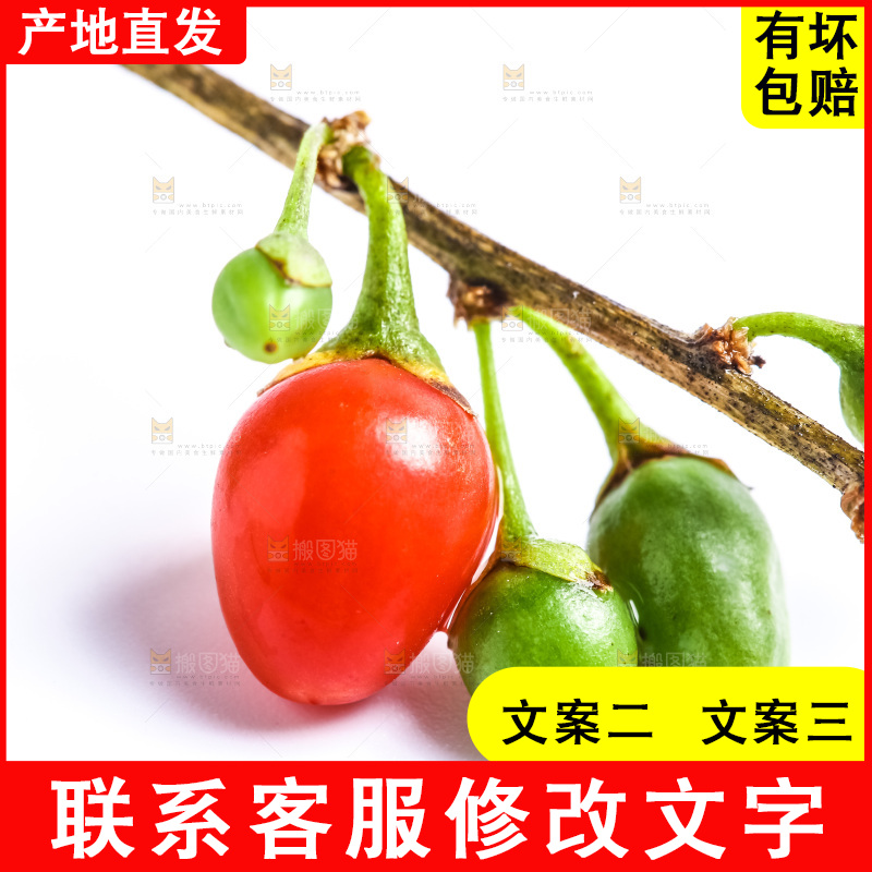 白底上摆放着红枸杞