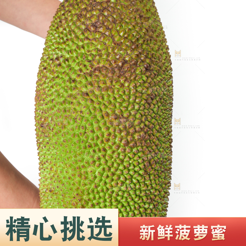 白底上放着一个完整的菠萝蜜