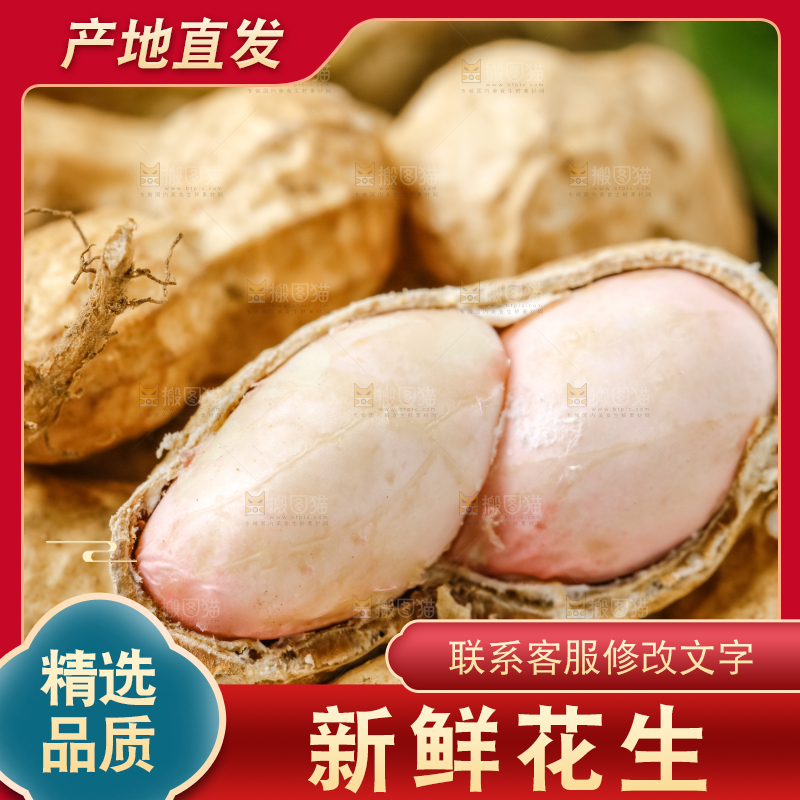 白底上的新鲜花生