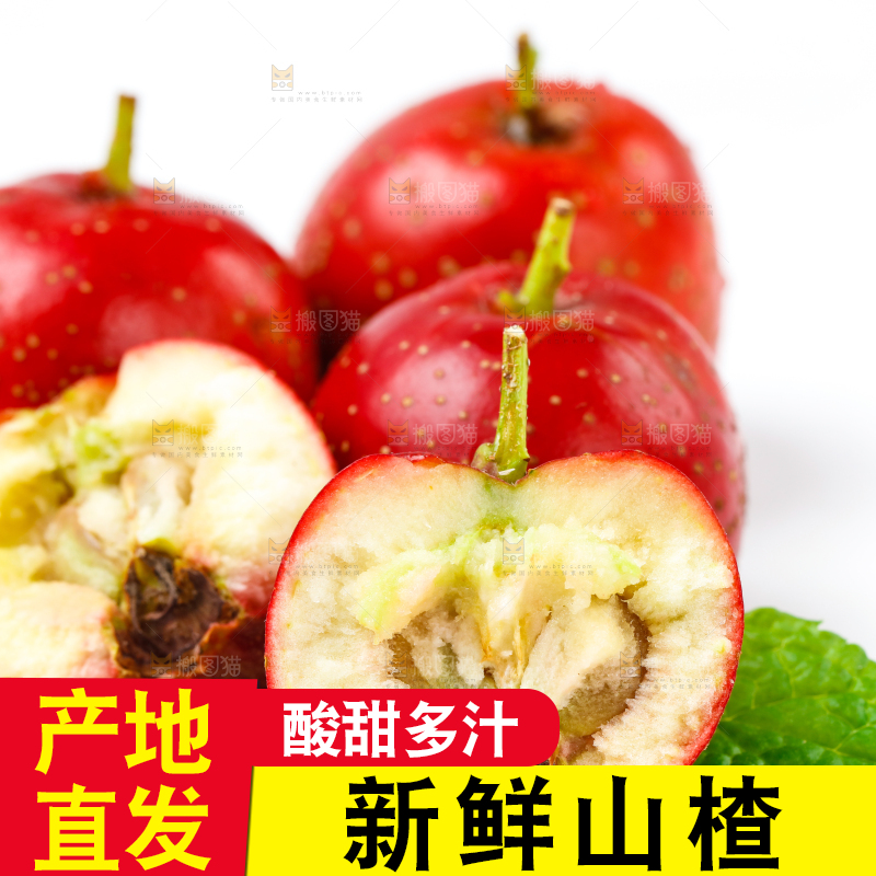 白底上的山楂果