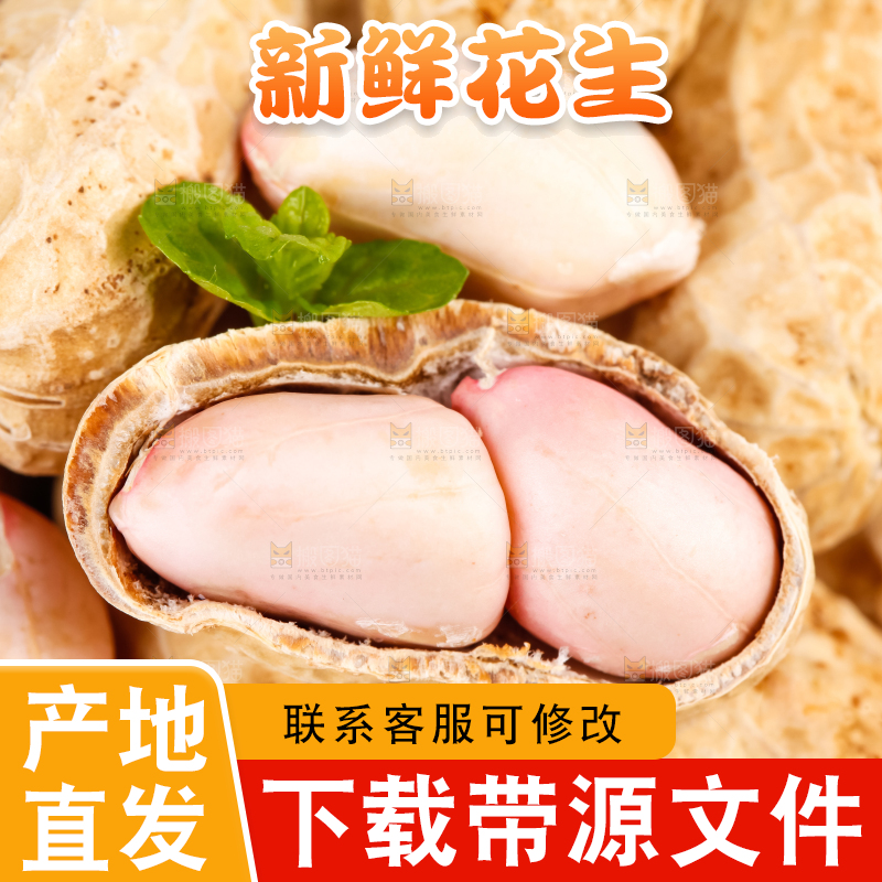白底上放着一堆新鲜带壳花生