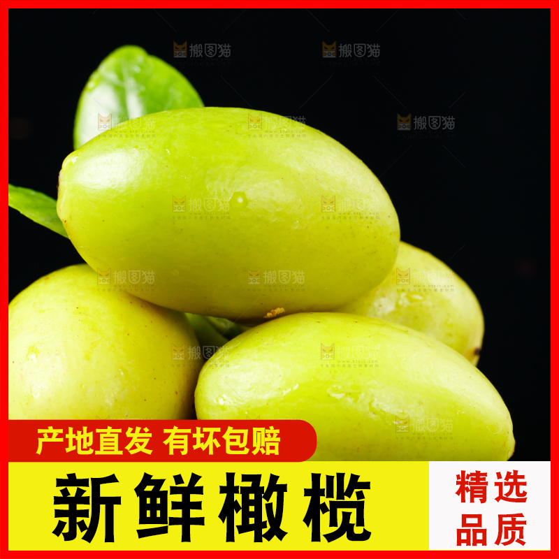 黑底上放着橄榄果