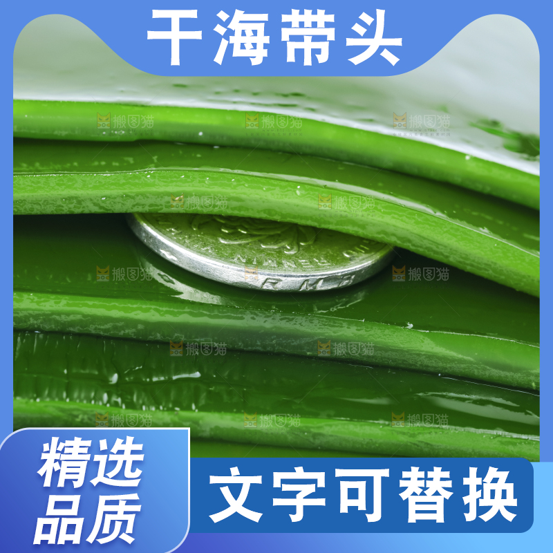 摆放着一堆的新鲜海带