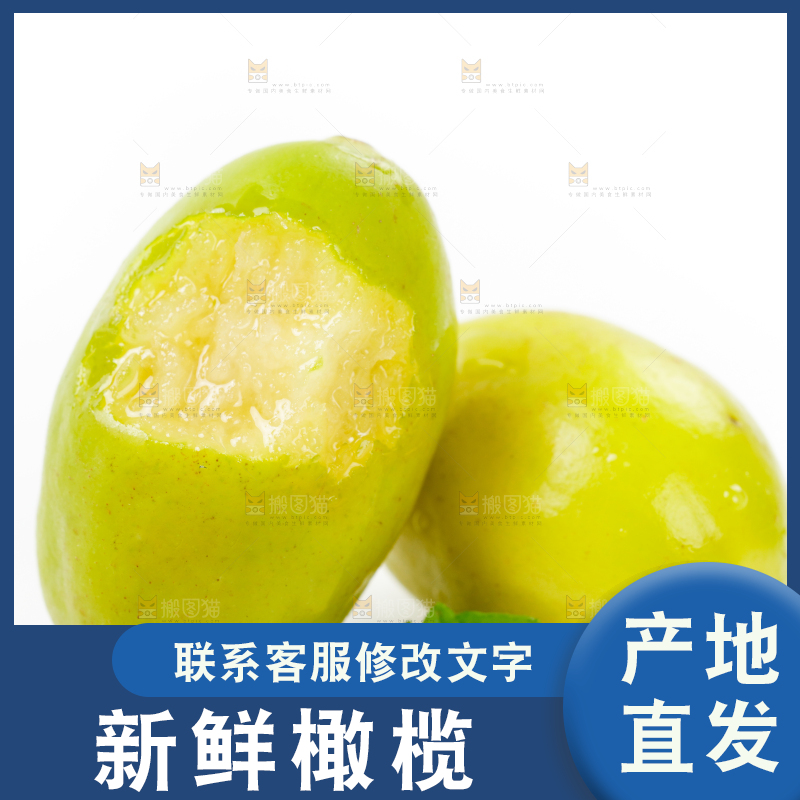 白底上的橄榄果