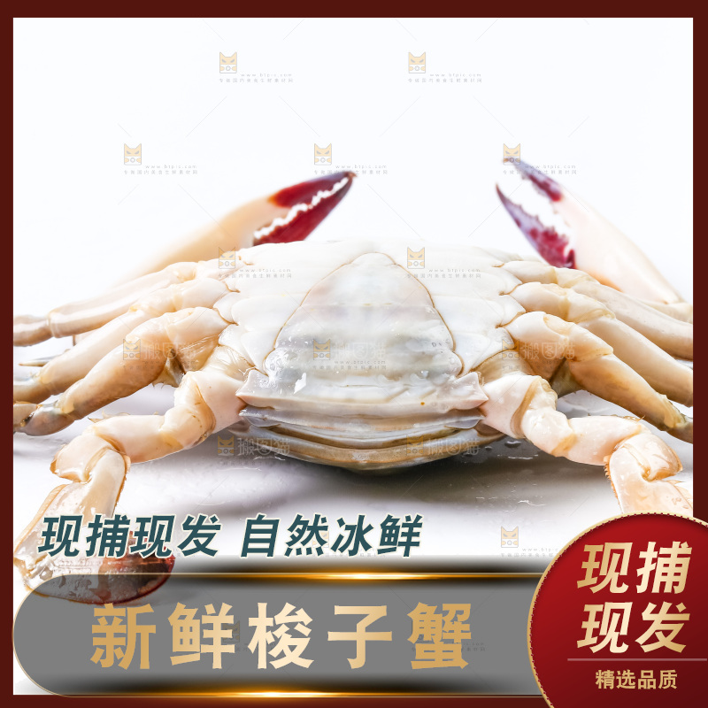白底上摆放着舟山梭子蟹
