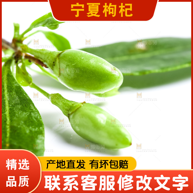 白底上放着枸杞树枝