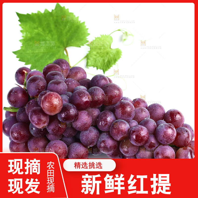 白底上摆放着红提