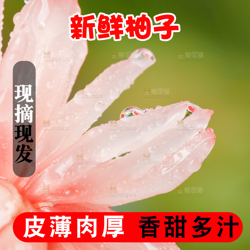 手上拿着红心柚子果肉