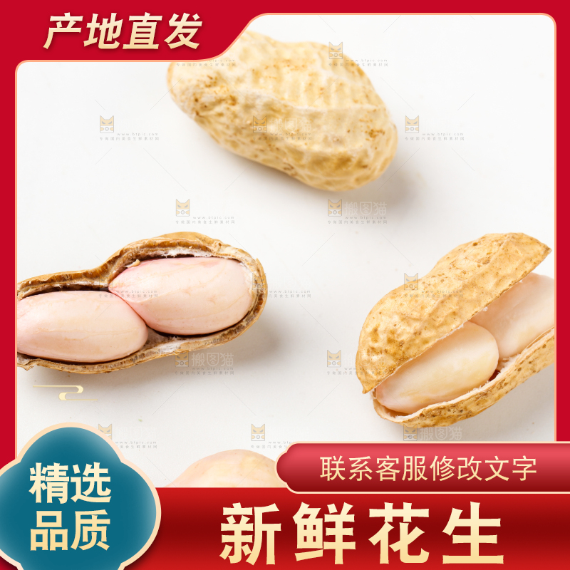 白底上的新鲜带壳花生