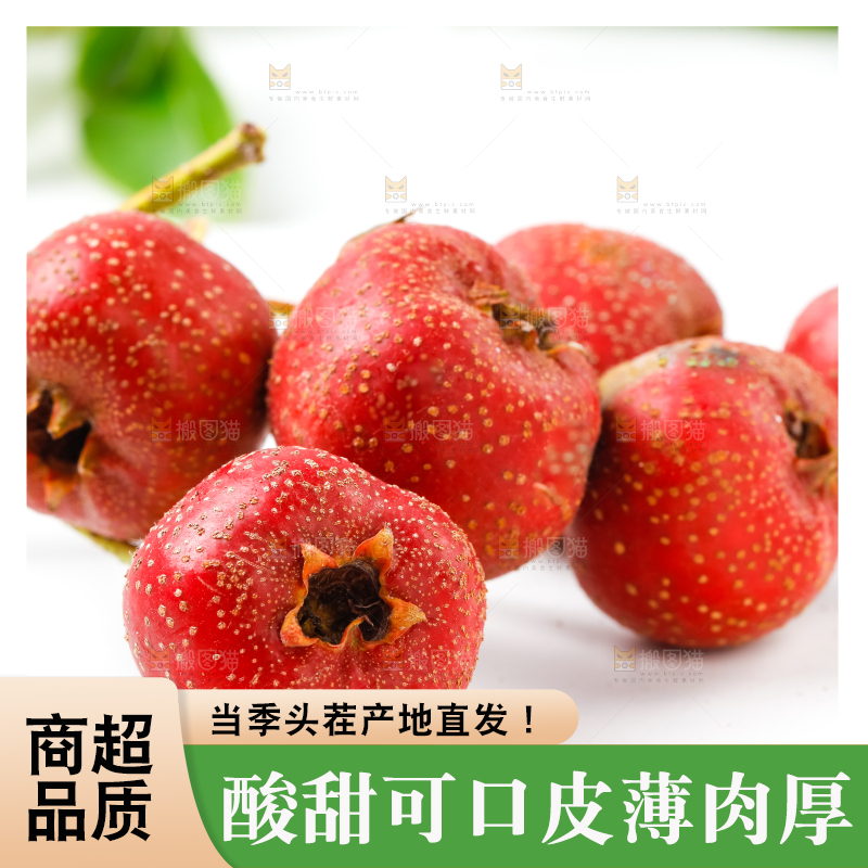 白底上的山楂