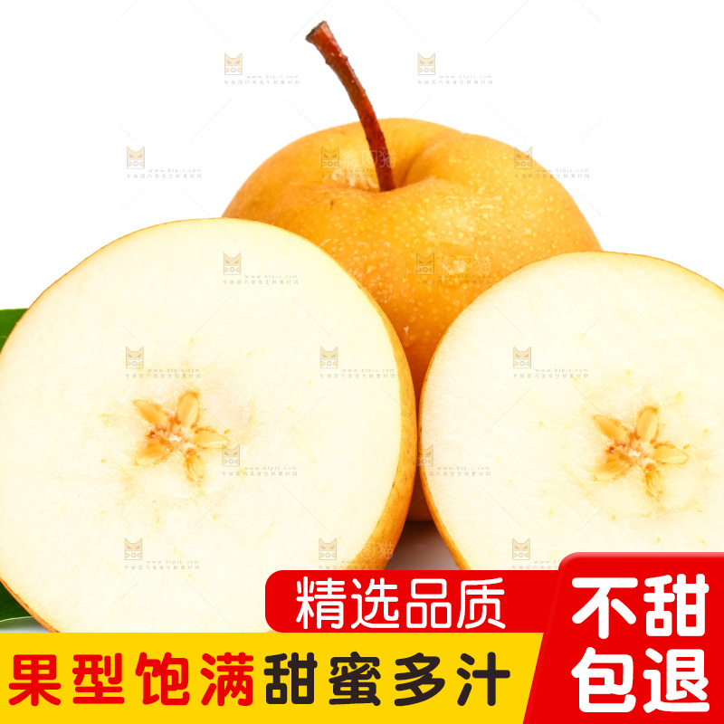 白底上摆放着河北丰水梨