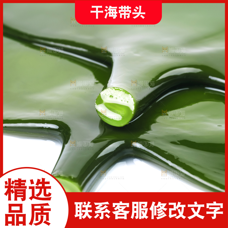 白底上摆放着海带头