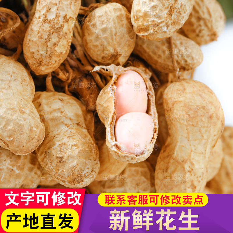 白底上放着一堆新鲜花生