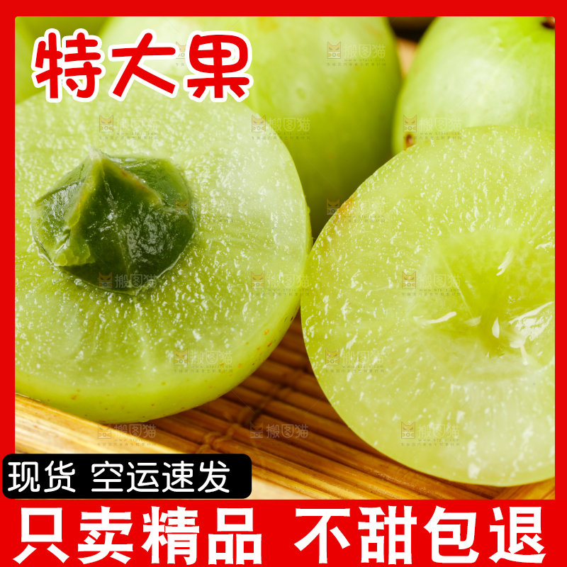 黑底上的余甘果
