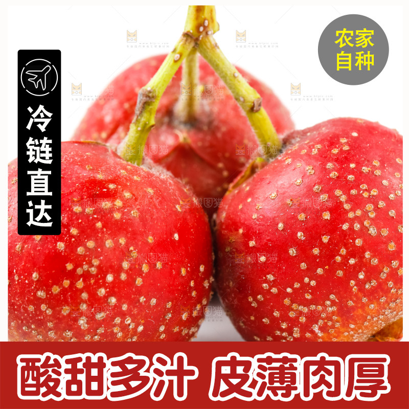 白底上的山楂