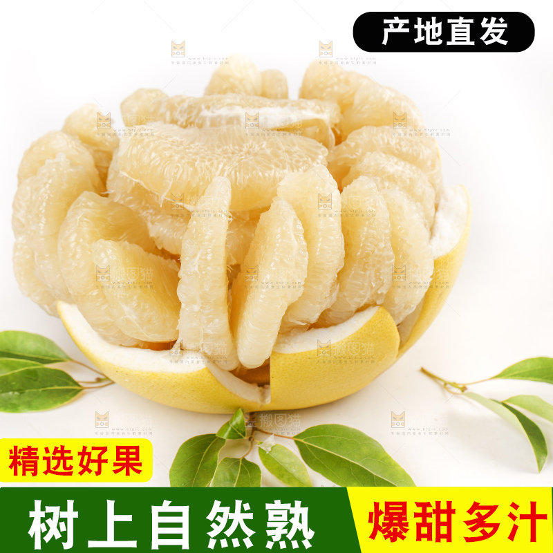白底上的白心柚