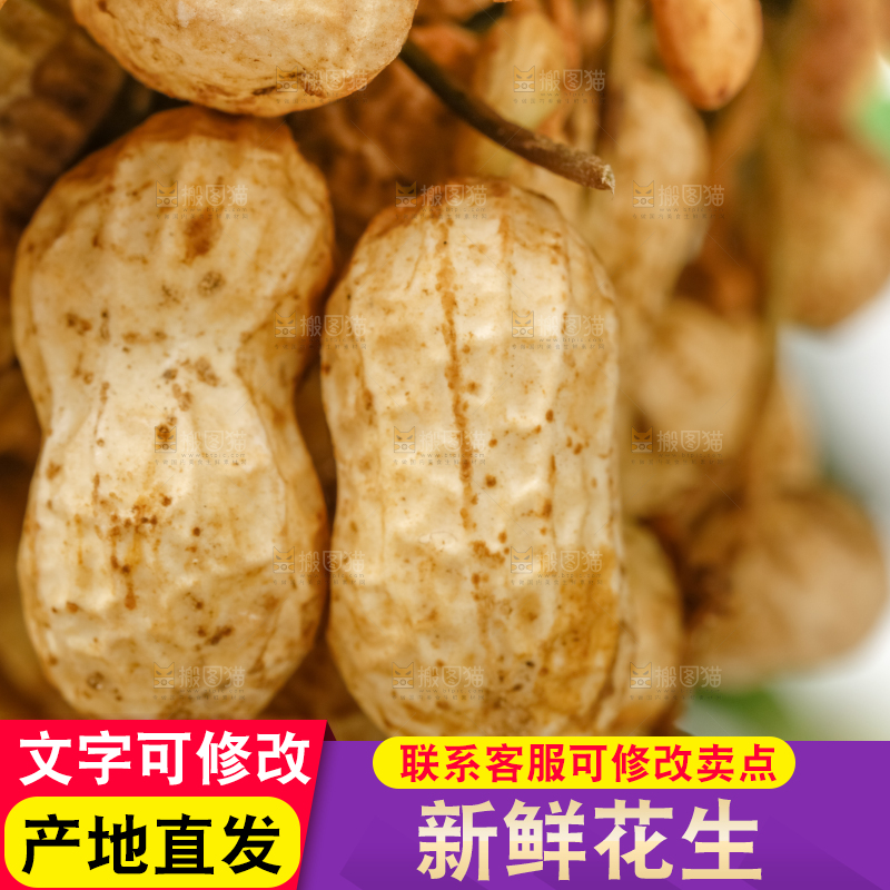 白底上的新鲜花生