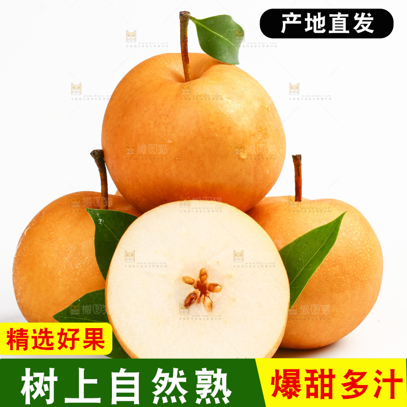白底上摆放着山东丰水梨