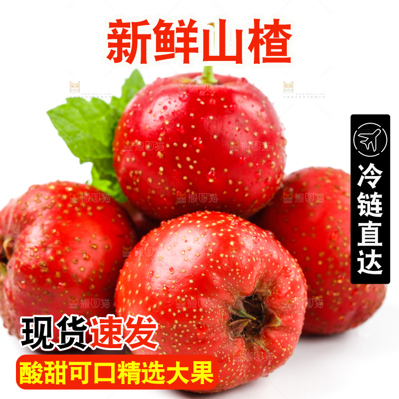 白底上的山楂果