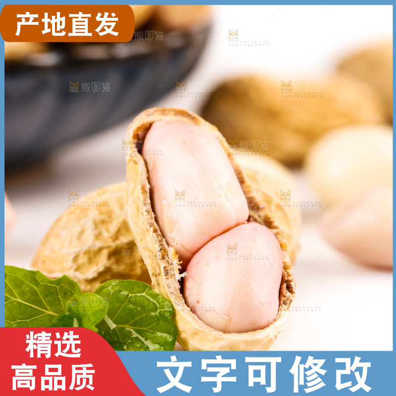 白底上放着一堆新鲜带壳花生