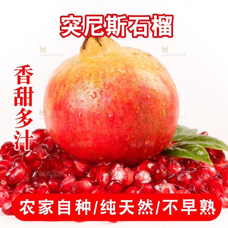 白底上的软籽石榴
