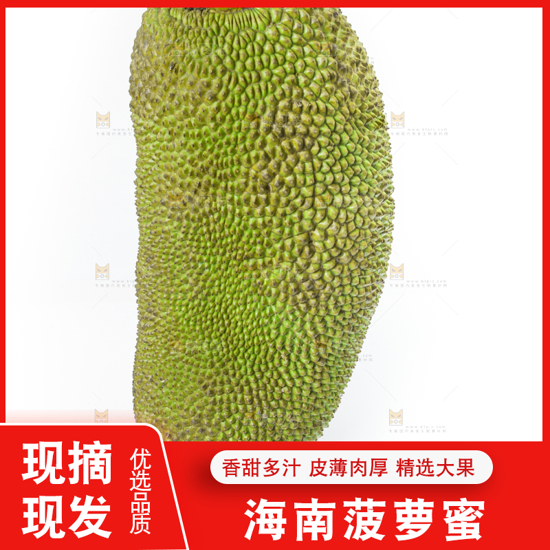 白底上放着一个完整的菠萝蜜