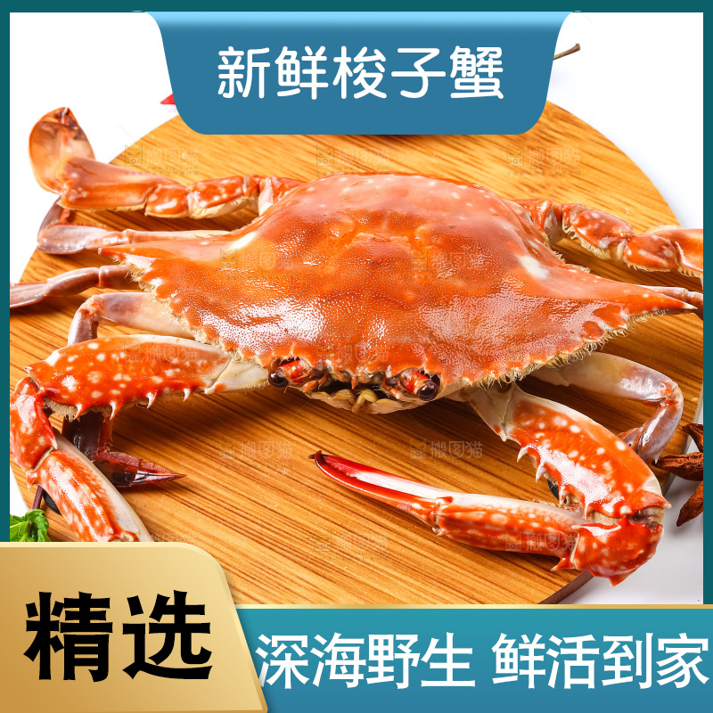 白底上放着海螃蟹